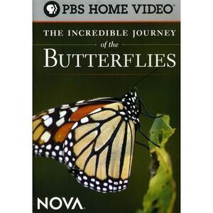 The Incredible Journey of the Butterflies  DVD